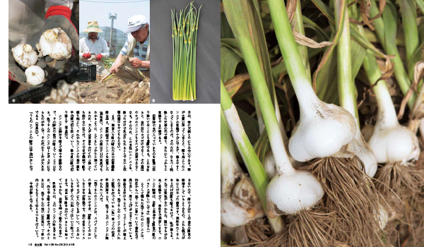 たべものがたり